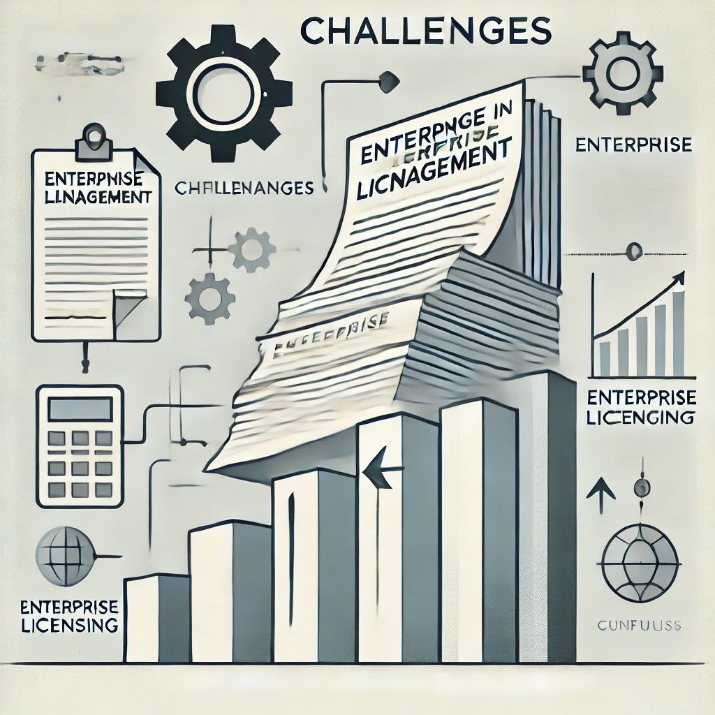 Challenges in Software Enterprise License Management